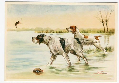 English setter and - english, german