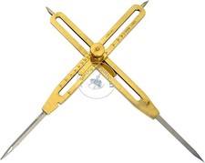 Artist Proportional Scale