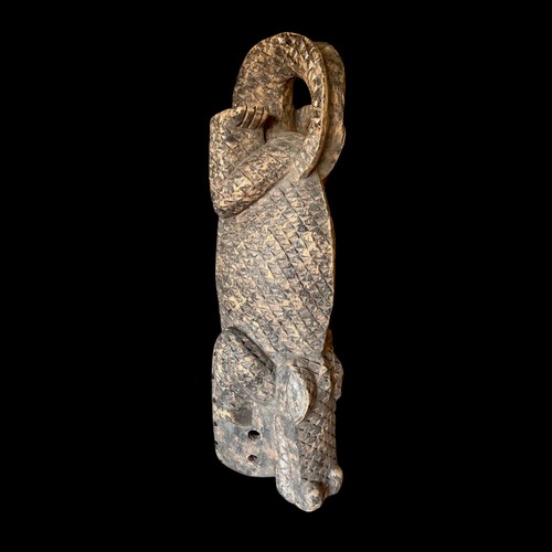 Rare african tribal crocodile - tribal,