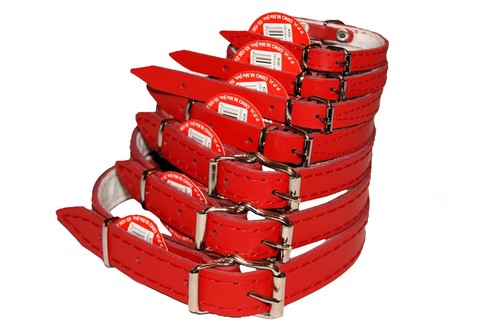 Dog puppy real leather collars - puppy,