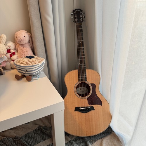 Taylor mini acoustic - taylor,