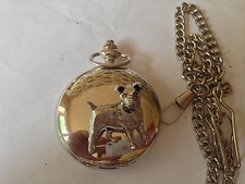 D13 Jack Russell Terrie