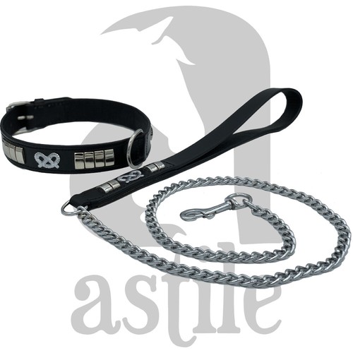 Dog collar lead set - dog,