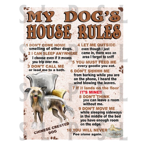 Dog house rules - dog's, chinese