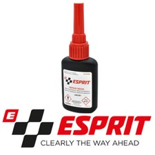 ESPRIT WINDSCREEN GLASS CHIP