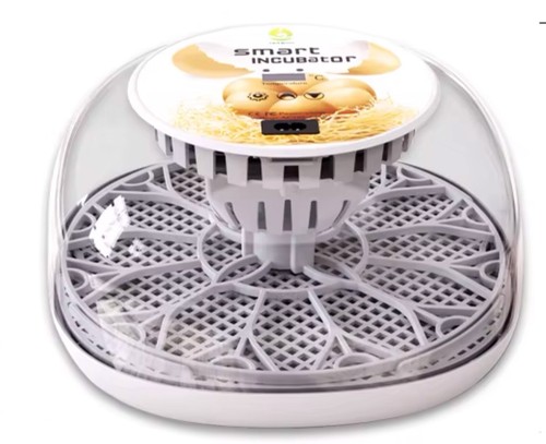 Dome bird egg incubator - egg,