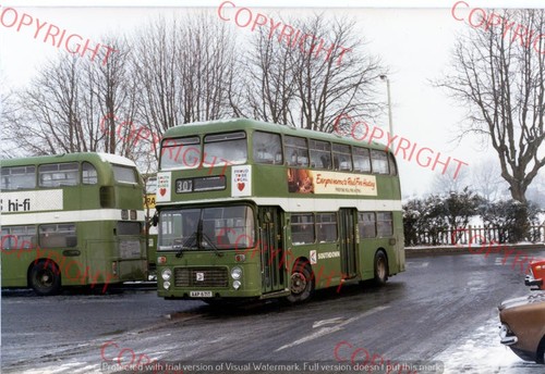 Bus photo southdown motor - bus,
