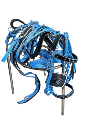 Single horse skyblue black - horse, skyblue/black