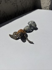 Joseph quillan sea turtle - quillan,