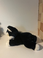 Disney Figaro From Pinocchio