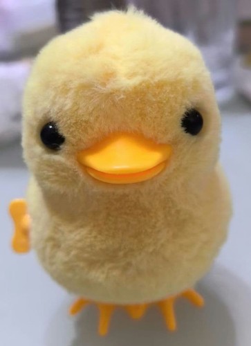 Piyo plushie - piyo,