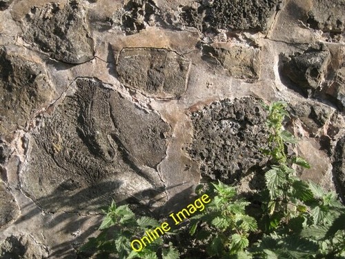 Photo 6x4 detail - photo,