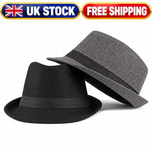 Mens wide brim - brim, fedora