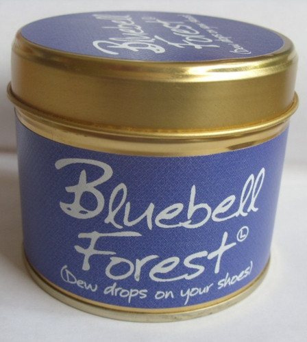 Bluebell forest scented - forest,