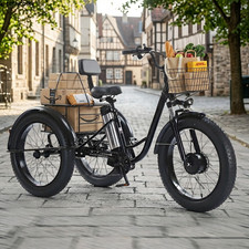 Electric cargo trike inch - trike, 20