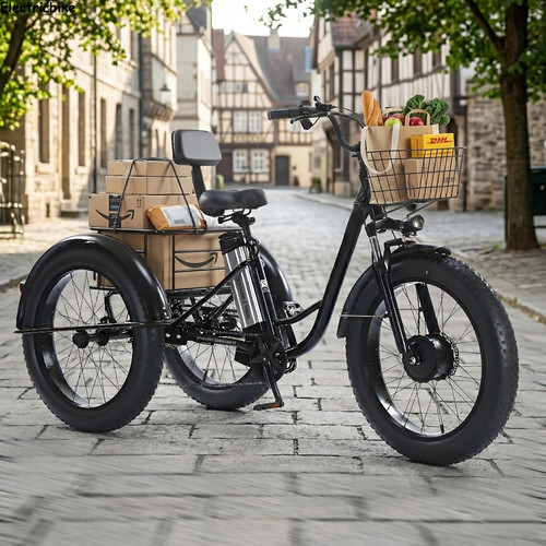 Electric cargo trike - cargo, inch