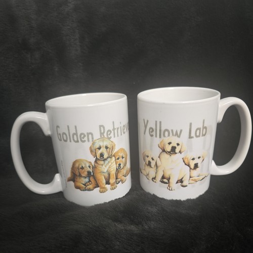 Yellow labrador retriever - yellow,