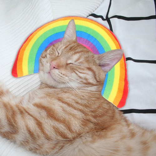 Pcs kitten catnip pillows - 2,