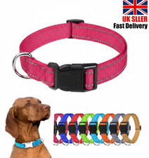 Dog Collar Reflective