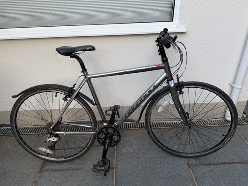 Ridgeback supernova - supernova, 19”