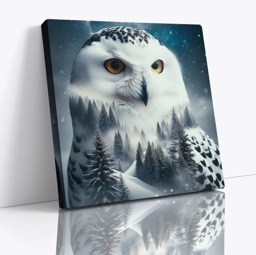 Snowy owl bird snow - owl,