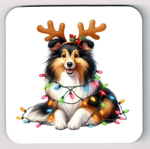 Shetland sheepdog coaster - shetland,