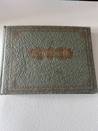 Vintage photo album - photo, 1920/30