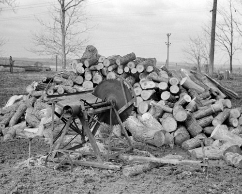 Lumber cordwood buzz saw - cordwood,