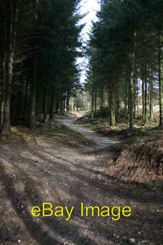 Photo 6x4 mountain bike - mountain, trail