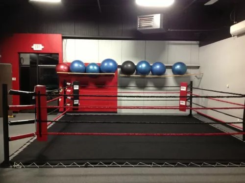 Mma boxing ring - mat, ufc