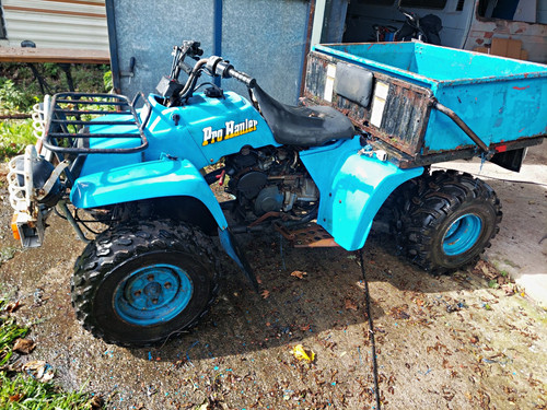 Yamaha pro hauler quad 250 - pro,