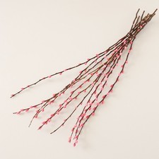 Real Stems Dried Pink Pussy