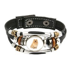 Pomeranian Dog Pet Family