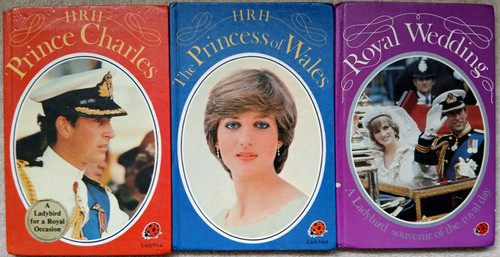 Vintage ladybird royal - ladybird,