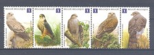 BELGIUM 2010 buzin birds