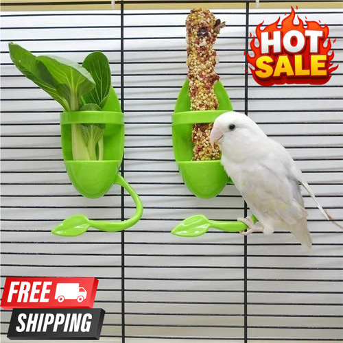 Plastic bird feeding holder - feeding,