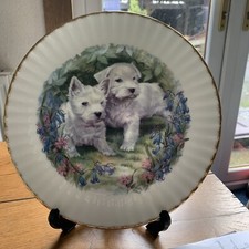 Westie - West Highland White