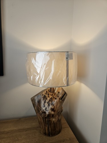 The turtle driftwood lamp from - the,