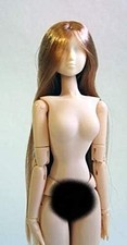 Obitsu body 27cm hair
