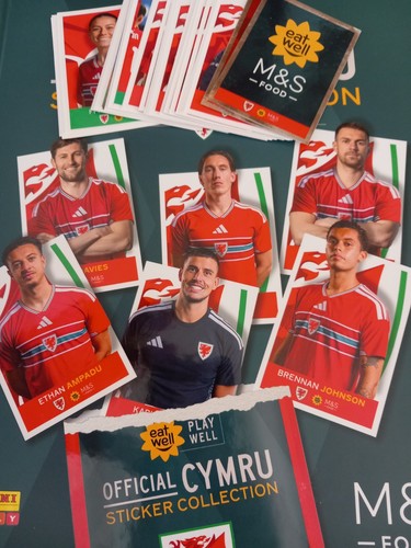 Panini s official wales - &,