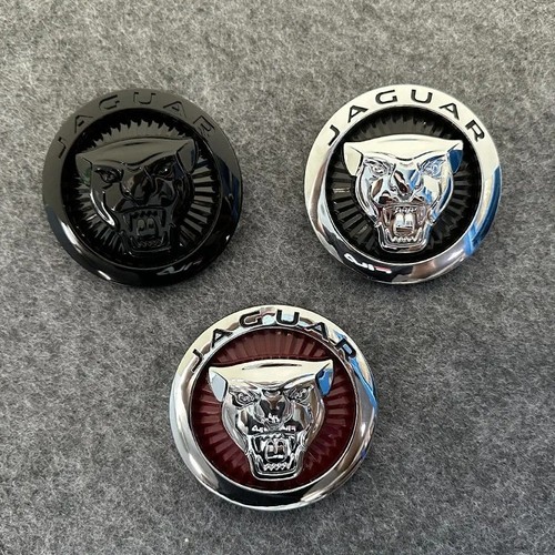 Car front grille - grille, emblem