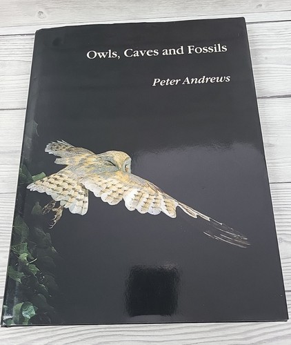 Owls caves and fossils - owls,, p
