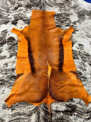 Dyed burnt orange african - dyed,