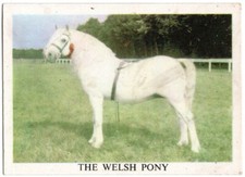 ANGLO AMERICAN GUM TRADE CARD