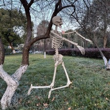 Skeleton Full Life Size