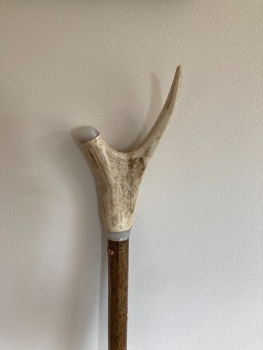 Hand crafted hazel - hand,