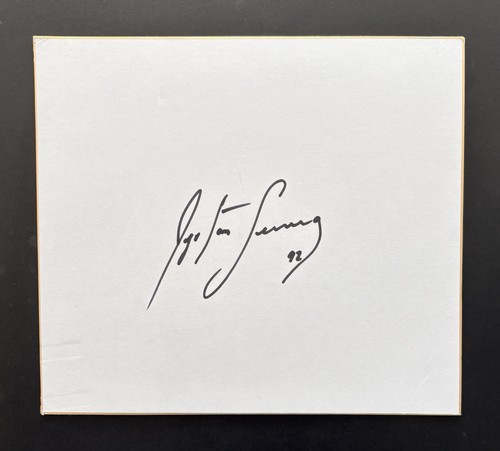 Ayrton senna signed - senna,