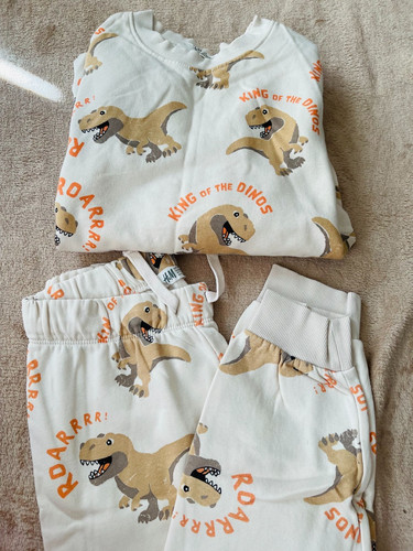 Dinosaur theme two piece - dinosaur,
