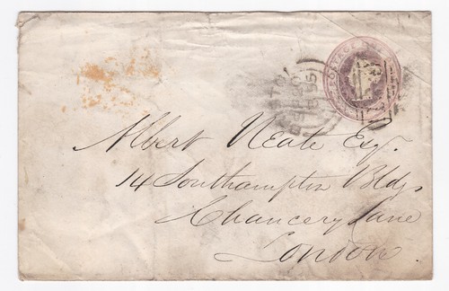 1855 scruffy pink - scruffy, cover