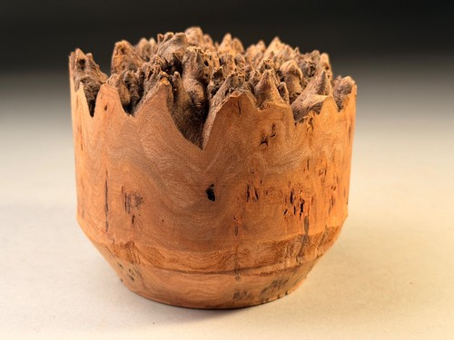 Live edge burr - live, elm